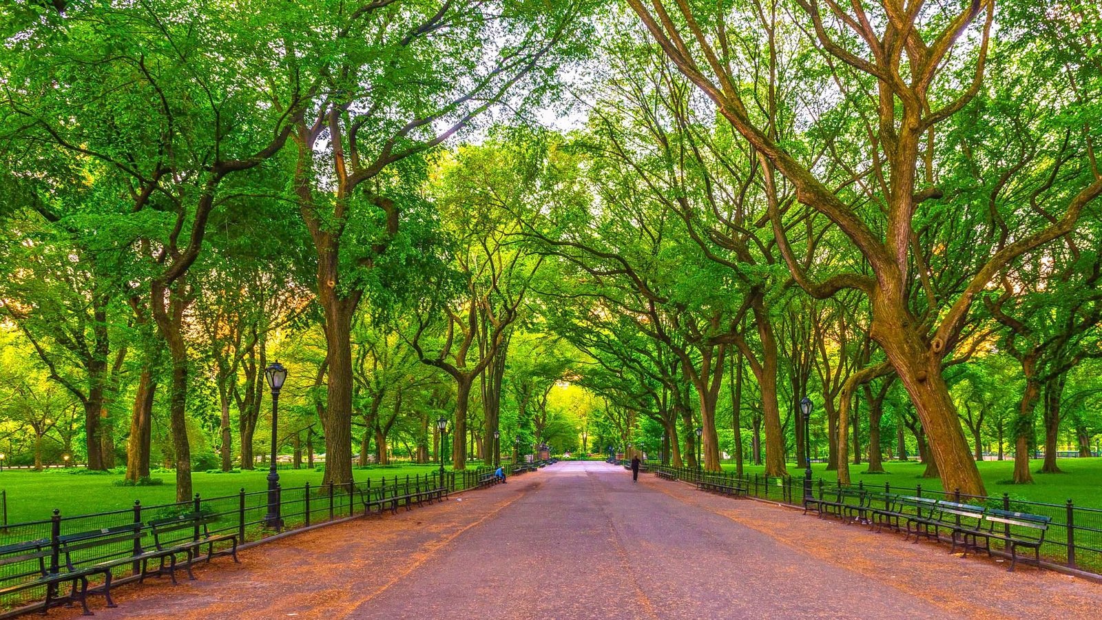 Central Park